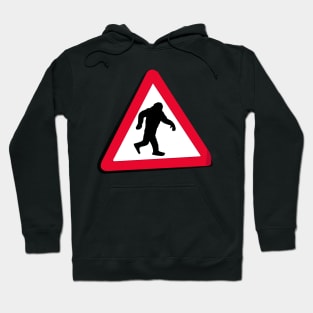 Bigfoot Crossing Hoodie